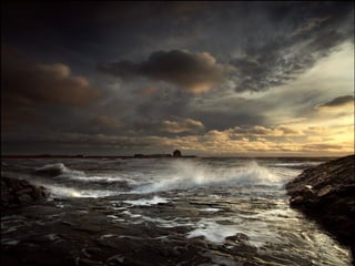 Sóng Về Đâu - T.C.S.