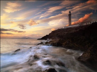 Sóng Về Đâu - T.C.S.