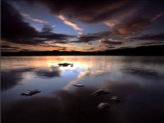 Sóng Về Đâu - T.C.S.