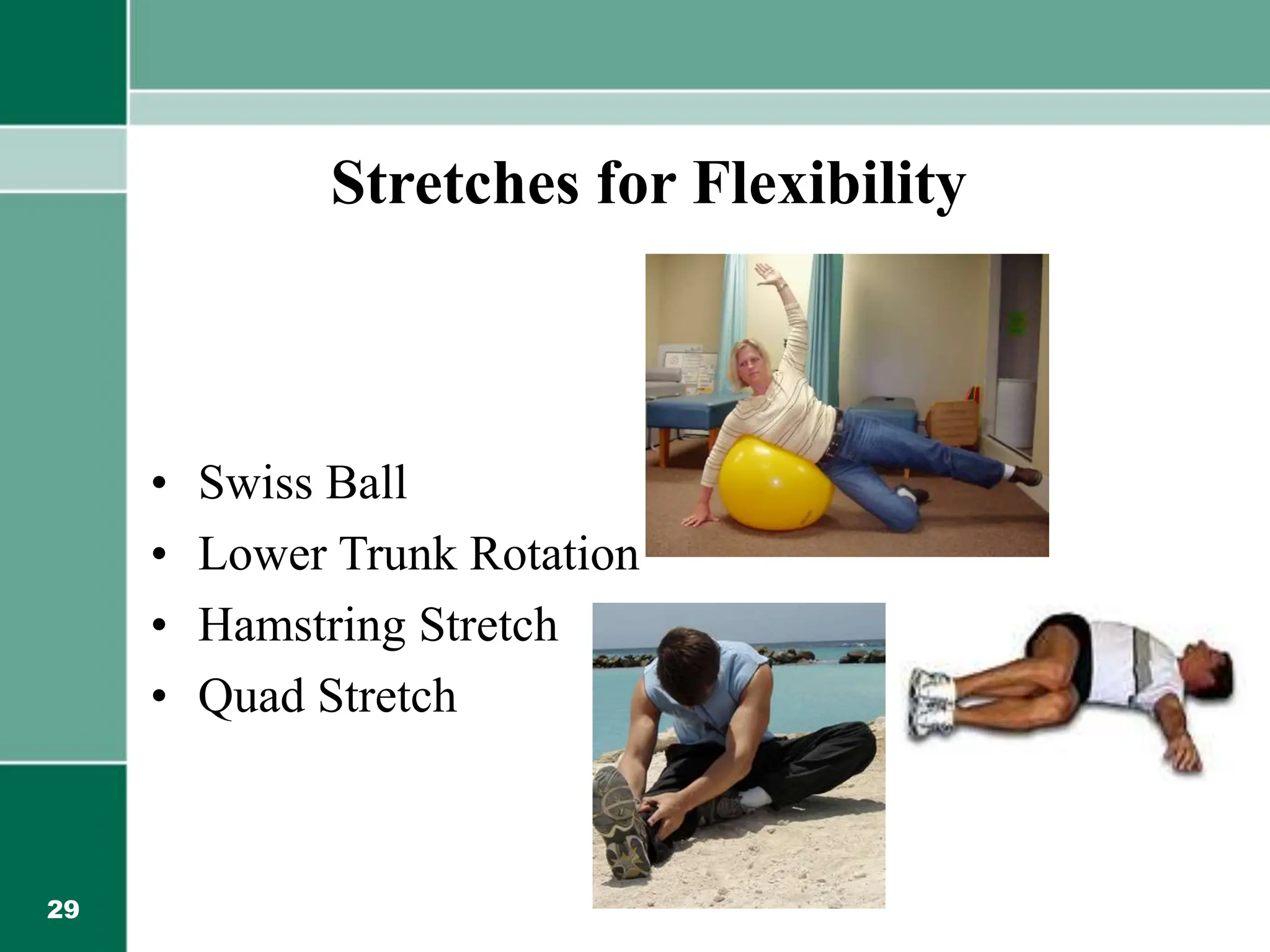 29
Stretches for Flexibility
• Swiss Ball
• Lower Trunk Rotation
• Hamstring Stretch
• Quad Stretch
 