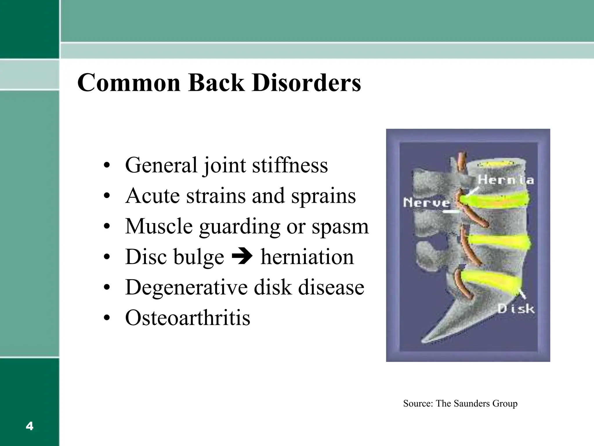 4
Common Back Disorders
• General joint stiffness
• Acute strains and sprains
• Muscle guarding or spasm
• Disc bulge  herniation
• Degenerative disk disease
• Osteoarthritis
Source: The Saunders Group
 