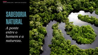 SON H O B R A SILE IRO // MAPA DAS VOCAÇÕES   B O X 1 8 24




     SABEDORIA
     NATURAL
     A ponte
     entre o
     homem e a
     natureza.
 