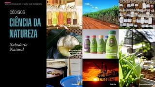 SON H O B R A SILE IRO // MAPA DAS VOCAÇÕES                                                      B O X 1 8 24




     CÓDIGOS

     CIÊNCIA DA                               Ingredientes da Amazônia             Etanol            Alquimia




     NATUREZA
     Sabedoria
     Natural                                             Ingredientes
                                                       gastronômicos
                                                            brasileiros   Matérias-primas
                                                                                brasileiras




                                                           Biodiesel               Pré-Sal    Farmácia natural
 