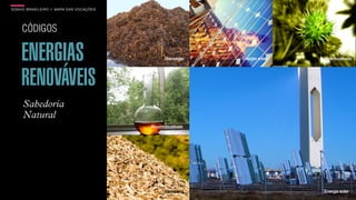 SON H O B R A SILE IRO // MAPA DAS VOCAÇÕES                                        B O X 1 8 24




     CÓDIGOS

     ENERGIAS                                       Biomassa    Energia solar   Biocombustíveis




     RENOVÁVEIS
      Sabedoria
      Natural
                                              Biocombustíveis




                                                    Biomassa                     Energia solar
 