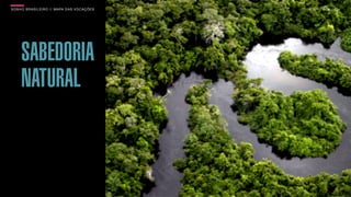 SON H O B R A SILE IRO // MAPA DAS VOCAÇÕES   B O X 1 8 24




     SABEDORIA
     NATURAL
 