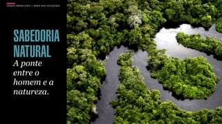 SONHO BRASILEIRO // MAPA DAS VOCAÇÕES BOX 1824
SABEDORIA
NATURAL
A ponte
entre o
homem e a
natureza.
BOX 1824
 