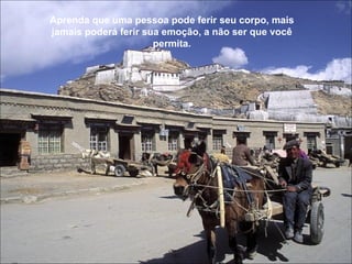 Aprenda que uma pessoa pode ferir seu corpo, mais jamais poderá ferir sua emoção, a não ser que você permita. 