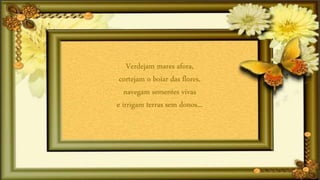 Verdejam mares afora,
cortejam o boiar das flores,
navegam sementes vivas
e irrigam terras sem donos...