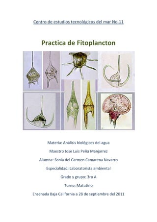 Centro de estudios tecnológicos del mar No.11



     Practica de Fitoplancton




        Materia: Análisis biológicos del agua

         Maestro Jose Luis Peña Manjarrez

   Alumna: Sonia del Carmen Camarena Navarro

       Especialidad: Laboratorista ambiental

               Grado y grupo: 3ro A

                  Turno: Matutino

Ensenada Baja California a 28 de septiembre del 2011
 