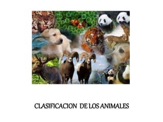 CLASIFICACION DE LOS ANIMALES
 