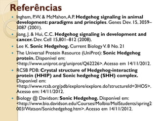Referências
   Ingham, P.W. & McMahon, A.P. Hedgehog signaling in animal
    development: paradigms and principles. Genes Dev. 15, 3059–
    3087 (2001).
   Jiang, J. & Hui, C.C. Hedgehog signaling in development and
    cancer. Dev. Cell 15,801–812 (2008).
   Lee K. Sonic Hedgehog. Current Biology V. 8 No. 21
   The Universal Protein Resource (UniProt): Sonic Hedgehog
    protein. Disponível em:
    <http://www.uniprot.org/uniprot/Q62226>. Acesso em 14/11/2012.
   RCSB PDB: Crystal structure of Hedgehog-interacting
    protein (HHIP) and Sonic hedgehog (SHH) complex.
    Disponível em:
    <http://www.rcsb.org/pdb/explore/explore.do?structureId=3HO5>.
    Acesso em: 14/11/2012.
   Biology @ Davidson: Sonic Hedgehog. Disponível em:
    <http://www.bio.davidson.edu/Courses/Molbio/MolStudents/spring2
    003/Watson/Sonichedgehog.htm>. Acesso em 14/11/2012.
 
