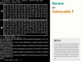 Secure
or
Vulnerable ?
暗号文
0x1cfc3c2be23b692c3627c0fd7ad2f6b
c829c1d488107eaa6c76f2ed81d0cdd7
e16ee2794f1569efa4eb6b9526e9...