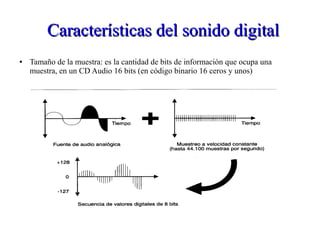 Características del sonido digitalCaracterísticas del sonido digital
● Tamaño de la muestra: es la cantidad de bits de información que ocupa una
muestra, en un CD Audio 16 bits (en código binario 16 ceros y unos)
 