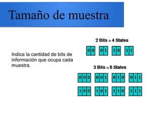 Tamaño de muestra
Indica la cantidad de bits de
información que ocupa cada
muestra.
 