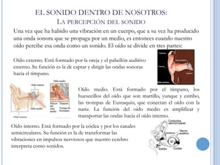 EL SONIDO DENTRO DE NOSOTROS:
LA PERCEPCIÓN DEL SONIDO
Una vez que ha habido una vibración en un cuerpo, que a su vez ha producido
una onda sonora que se propaga por un medio, es entonces cuando nuestro
oído percibe esa onda como un sonido. El oído se divide en tres partes:
Oído externo. Está formado por la oreja y el pabellón auditivo
externo. Su función es la de captar y dirigir las ondas sonoras
hacia el tímpano.
Oído medio. Está formado por el tímpano, los
huesecillos del oído que son martillo, yunque y estribo,
las trompas de Eustaquio, que conectan el oído con la
nariz. La función del oído medio es amplificar y
transportar las ondas hacia el oído interno.
Oído interno. Está formado por la cóclea y por los canales
semicirculares. Su función es la de transformar las
vibraciones en impulsos nerviosos que nuestro cerebro
interpreta como sonidos.

 