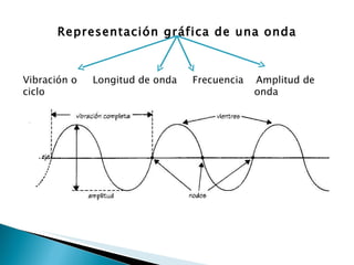 Representación gráfica de una onda Vibración o  Longitud de onda  Frecuencia  Amplitud de  ciclo  onda 
