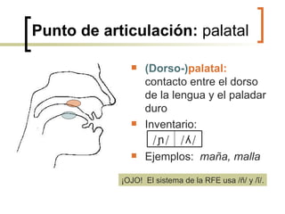 Punto de articulación:  palatal (Dorso-) palatal:  contacto entre el dorso de la lengua y el paladar duro Inventario: Ejemplos:  maña, malla ¡OJO!  El sistema de la RFE usa /ñ / y /ĩ/. / ʎ/ / ɲ/ 