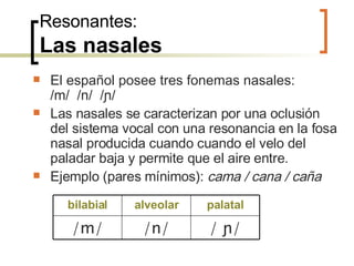 Resonantes: Las nasales El español posee tres fonemas nasales:  /m/  /n/  / ɲ/ Las nasales se caracterizan por una oclusión del sistema vocal con una resonancia en la fosa nasal producida cuando cuando el velo del paladar baja y permite que el aire entre. Ejemplo (pares mínimos):  cama / cana / caña /  ɲ/ /n/ /m/ palatal alveolar bilabial 