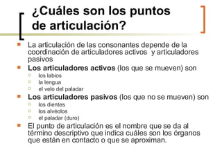 ¿Cuáles son los puntos  de articulación?   La articulación de las consonantes depende de la coordinación de articuladores activos  y articuladores pasivos Los articuladores activos  (los que se mueven) son los labios la lengua el velo del paladar Los articuladores pasivos  (los que no se mueven) son los dientes los alvéolos el paladar (duro) El punto de articulación es el nombre que se da al término descriptivo que indica cuáles son los órganos que están en contacto o que se aproximan. 