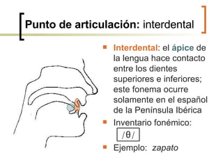 Punto de articulación:  interdental Interdental : el  ápice  de la lengua hace contacto entre los dientes superiores e inferiores; este fonema ocurre solamente en el español de la Península Ibérica Inventario fonémico:  Ejemplo:  zapato / θ / 