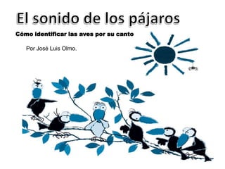 Cómo identificar las aves por su canto

   Por José Luis Olmo.
 
