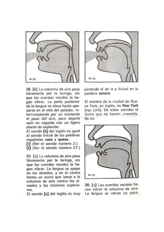 Sonidos de idioma inglés