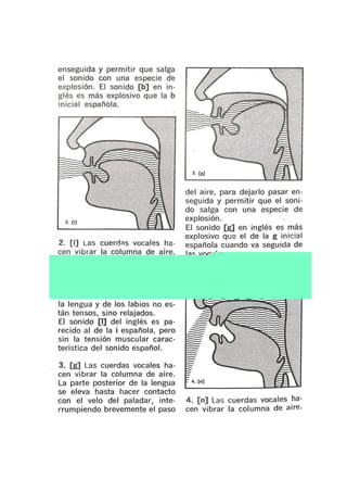 Sonidos de idioma inglés
