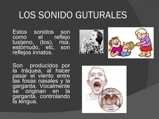 LOS SONIDO GUTURALES Estos sonidos son como el reflejo tusijeno, (tos), risa, estornudo, etc, son reflejos innatos.  Son  producidos por la tráquea, al hacer pasar el viento entre las fosas nasales y la garganta. Vocalmente se originan en la garganta, controlando la lengua. 