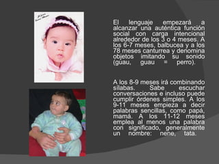 El lenguaje empezará a alcanzar una auténtica función social con carga intencional alrededor de los 3 o 4 meses. A los 6-7 meses, balbucea y a los 78 meses canturrea y denomina objetos imitando su sonido (guau, guau = perro).  A los 8-9 meses irá combinando sílabas. Sabe escuchar conversaciones e incluso puede cumplir órdenes simples. A los 9-11 meses empieza a decir palabras sencillas, como papá, mamá. A los 11-12 meses emplea al menos una palabra con significado, generalmente un nombre: nene, tata.  