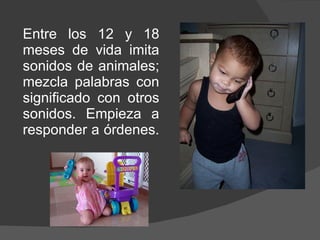 Entre los 12 y 18 meses de vida imita sonidos de animales; mezcla palabras con significado con otros sonidos. Empieza a responder a órdenes. 