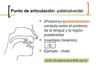 Punto de articulación:  palatoalveolar (Predorso-) palatoalveolar:  contacto entre el predorso de la lengua y la región postalveolar  Inventario fonémico: Ejemplo:  chato ¡OJO!  El sistema de la RFE usa / č/. / ʧ/ 