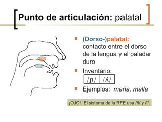 Punto de articulación:  palatal (Dorso-) palatal:  contacto entre el dorso de la lengua y el paladar duro Inventario: Ejemplos:  maña, malla ¡OJO!  El sistema de la RFE usa /ñ / y /ĩ/. / ɲ/ / ʎ/ 