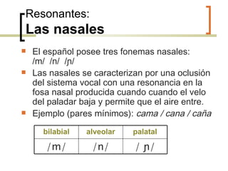 Resonantes: Las nasales El español posee tres fonemas nasales:  /m/  /n/  / ɲ/ Las nasales se caracterizan por una oclusión del sistema vocal con una resonancia en la fosa nasal producida cuando cuando el velo del paladar baja y permite que el aire entre. Ejemplo (pares mínimos):  cama / cana / caña bilabial alveolar palatal /m/ /n/ /  ɲ/ 