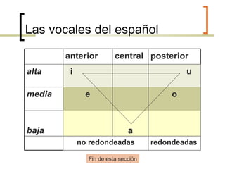 Las vocales del español Fin de esta sección anterior central posterior alta i u media e o baja a no redondeadas redondeadas 