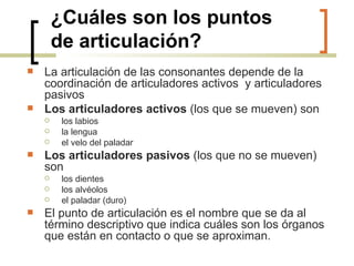 ¿Cuáles son los puntos  de articulación?   La articulación de las consonantes depende de la coordinación de articuladores activos  y articuladores pasivos Los articuladores activos  (los que se mueven) son los labios la lengua el velo del paladar Los articuladores pasivos  (los que no se mueven) son los dientes los alvéolos el paladar (duro) El punto de articulación es el nombre que se da al término descriptivo que indica cuáles son los órganos que están en contacto o que se aproximan. 