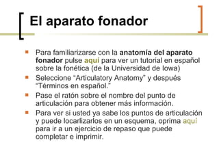 El aparato fonador Para familiarizarse con la  anatomía del aparato fonador  pulse   aquí   para ver un tutorial en español sobre la fonética (de la Universidad de Iowa) Seleccione “Articulatory Anatomy” y después “Términos en español.” Pase el ratón sobre el nombre del punto de articulación para obtener más información. Para ver si usted ya sabe los puntos de articulación y puede locarlizarlos en un esquema, oprima  aquí  para ir a un ejercicio de repaso que puede completar e imprimir.  