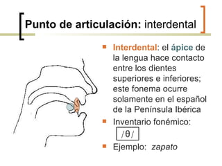 Punto de articulación:  interdental Interdental : el  ápice  de la lengua hace contacto entre los dientes superiores e inferiores; este fonema ocurre solamente en el español de la Península Ibérica Inventario fonémico:  Ejemplo:  zapato / θ / 