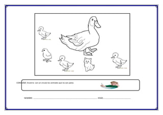 CONSIGNA: Encierra con un circulo los animales que no son patos

NOMBRE: ………………………………………………………………………………………………………………….. EDAD…………………………………………………

 