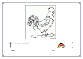 CONSIGNA Pintar de color que desees al gallo.

NOMBRE: …………………………………………………………………………………………………………………………………. EDAD: …………………………………………………………….

 