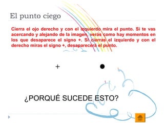 El punto ciego
Cierra el ojo derecho y con el izquierdo mira el punto. Si te vas
acercando y alejando de la imagen, verás como hay momentos en
los que desaparece el signo +. Si cierras el izquierdo y con el
derecho miras el signo +, desaparecerá el punto.




     ¿PORQUÉ SUCEDE ESTO?
 