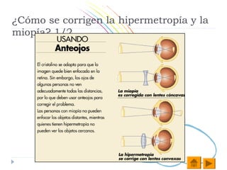 ¿Cómo se corrigen la hipermetropía y la
miopía? 1/2
 