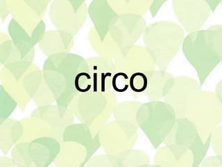 circo
 