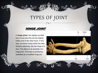 Hinge Joint Example Structures body movement | PPTX