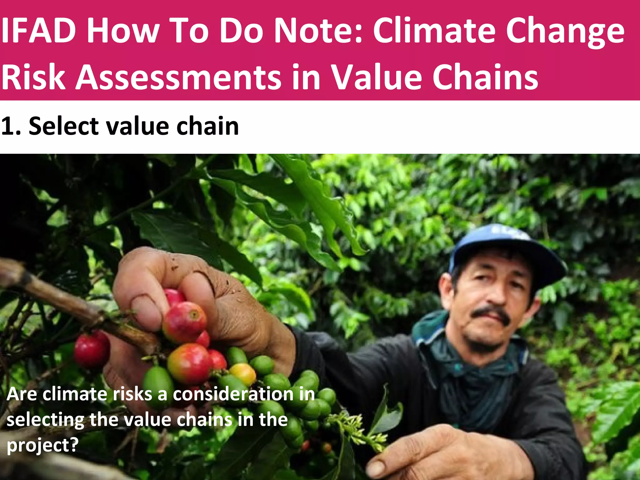 Title to be insertedIFAD How To Do Note: Climate Change
Risk Assessments in Value Chains
1. Select value chain
Are climate risks a consideration in
selecting the value chains in the
project?
 