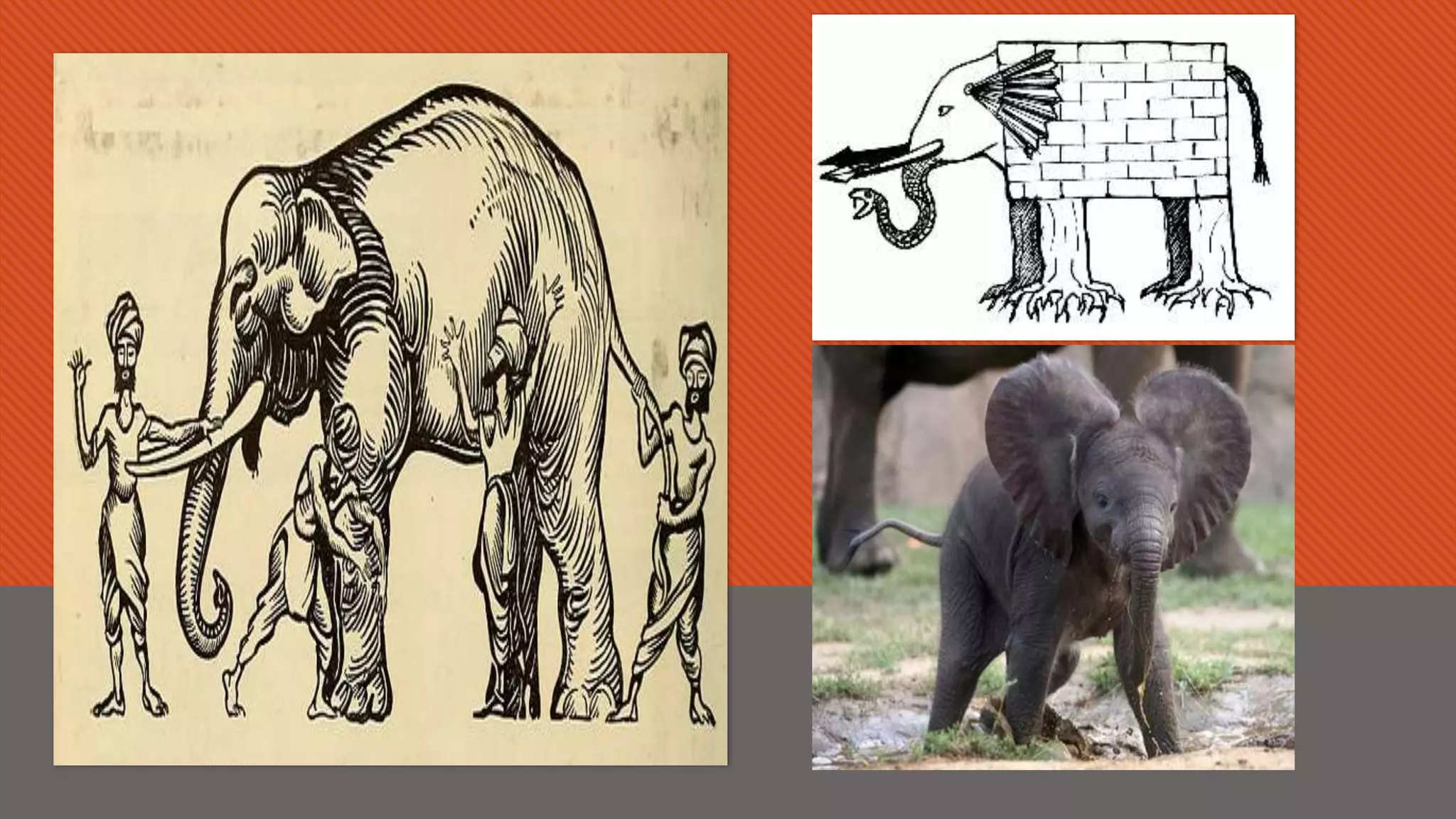 MKE, Szeged, 2019.7.31.
 