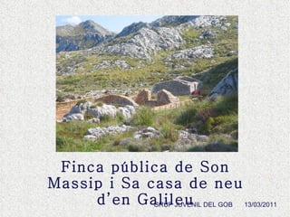 Finca pública de Son Massip i Sa casa de neu d’en Galileu GRUP JUVENIL DEL GOB 13/03/2011 
