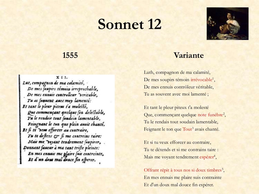 Les 24 Sonnets De Louise Labé Pdf