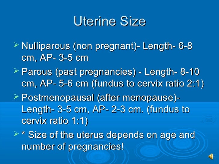 Sono 202 normal gyn anatomy