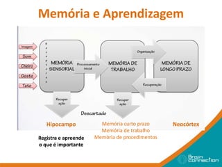 Memória e Aprendizagem
Hipocampo
Registra e apreende
o que é importante
Memória curto prazo
Memória de trabalho
Memória de procedimentos
Neocórtex
 