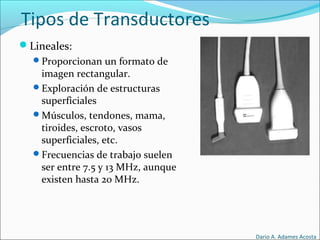 Tipos de Transductores
Lineales:
Proporcionan un formato de
imagen rectangular.
Exploración de estructuras
superficiales
Músculos, tendones, mama,
tiroides, escroto, vasos
superficiales, etc.
Frecuencias de trabajo suelen
ser entre 7.5 y 13 MHz, aunque
existen hasta 20 MHz.
Dario A. Adames Acosta
 